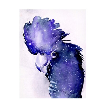 Jennifer Paxton Parker 'Celestial Cockatoos II' Canvas Art, 35x47
